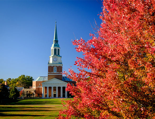 magazine.wfu.edu